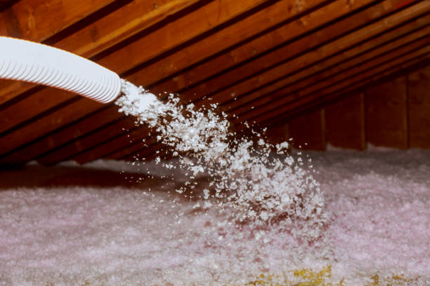 Best Cellulose Insulation in Waukegan, IL