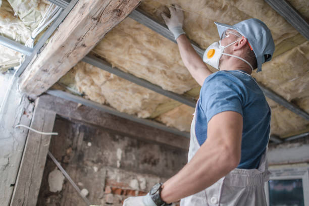 Best Fiberglass Insulation in Waukegan, IL