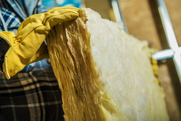 Types of Insulation We Offer in Waukegan, IL