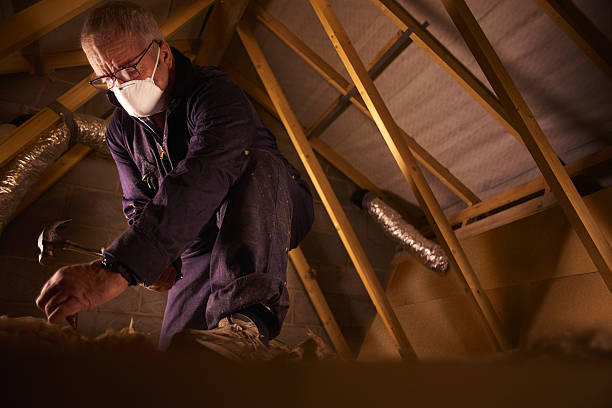 Best Residential Insulation in Waukegan, IL